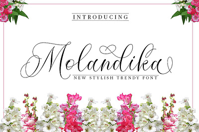 Molandika Free Calligraphy Font font fonts free download free font free fonts freebies freefont type typeface typography