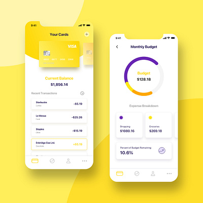 VISA App Concept