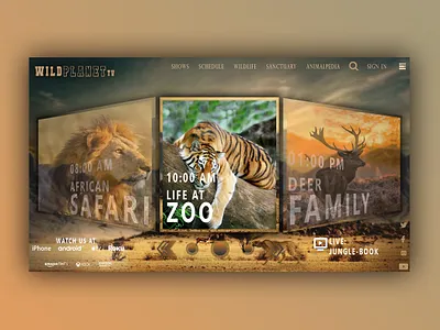 wildplanetTV animal design flat illustration illustrator trending typography ui uidesign uiux web webdesign website wildlife