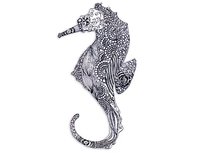 Calligraphic Illustration calligraphy handmadepen illustraion sea horse