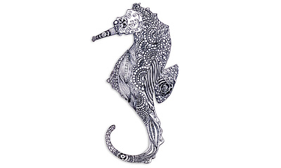 Calligraphic Illustration calligraphy handmadepen illustraion sea horse