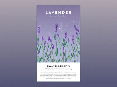 Lavender aroma aromatherapy design essential oil flower help lavender plant purple