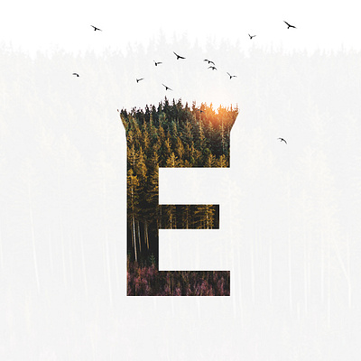 Double Exposure alphabet art business design double exposure e forest graphic design illustration manipulation mockup photoshop ui visual design