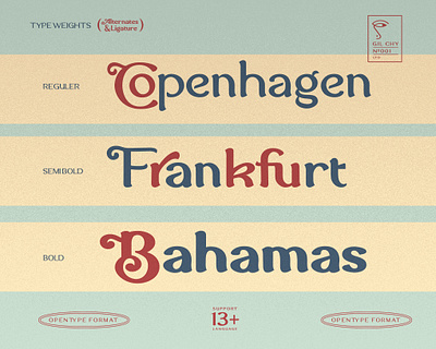 Qlandestin Type weights font font design type typedesign typeface typefaces typography