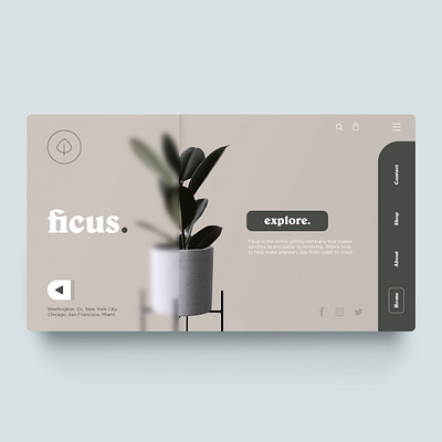 Ficus - Plant shop design green nature plant plantasia plants ui ux web web design website