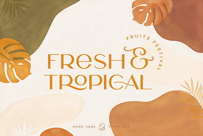 Rosie Sans Typeface branding classic font design display font download font elegant font font font design fonts graphic design logo font logotype retro font tropical typeface typeface design typefaces typography vintage font vintage lettering