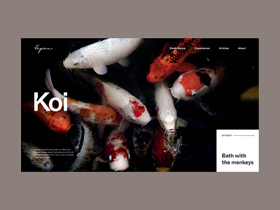 Inspired by Japan Hero Layout destination editorial fullscreen japan layout minimal minimalist photography travel typography web design website