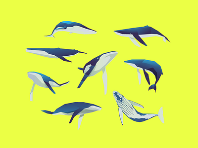 Salesforce — World Economic Forum, Davos 2019 aesthetic branding design global warming graphic identity illustrations life ocean planet earth plastic salesforce save the oceans visual world economic forum