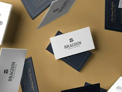 BRAGHIN BUSINESS CARD branding business card design ideia illustrator logo minimal mockups vector