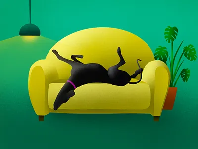 Roaching greyhound illustration couch digital dog drawing green greyhound illustration ipad pro light living room plant procreate sofa