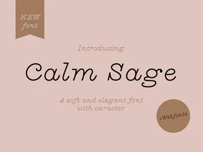 Calm Sage Font + Webfonts branding design download font download typeface font font design fonts graphic design hand drawn font lettering logo font monoline monoline font serif font typeface typeface. lettering typefaces web font webfont webfonts