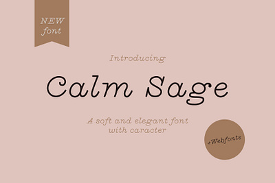 Calm Sage Font + Webfonts branding design download font download typeface font font design fonts graphic design hand drawn font lettering logo font monoline monoline font serif font typeface typeface. lettering typefaces web font webfont webfonts