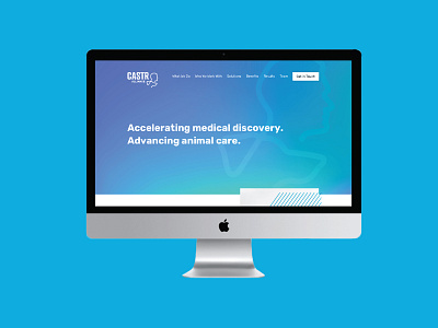 CASTR Alliance Website and logo