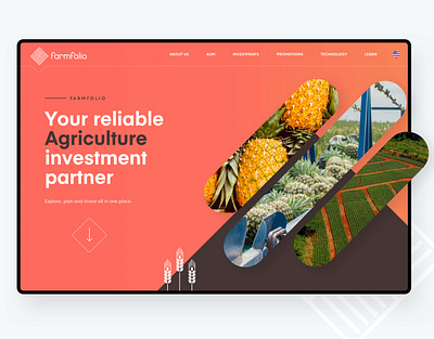 Farmfolio - Website Re-design agriculture assets carousel chart crops design farm fintech fruits header investment orange pineapple responsive design ui vector vegetables