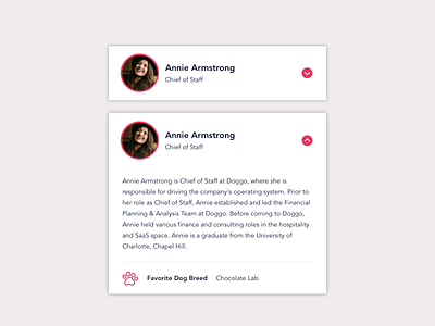 Information Card 045 bio card card design cards dailyui design fun fact hr information person show more ui ux