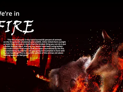 Animal Rescue adobe photoshop design illustration photoshop poster design