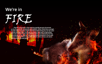 Animal Rescue adobe photoshop design illustration photoshop poster design