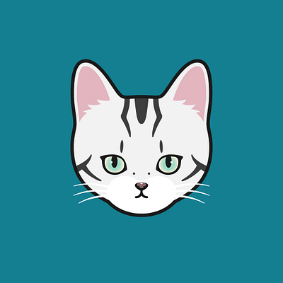 Cat Cannes cat character characterdesign