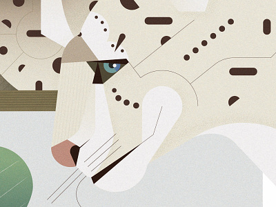 Snow leopard - Parco Natura Viva animal green illustration nature parconaturaviva snowleopard sustainability sustainable vector