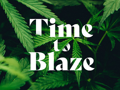 Time To Blaze WIP branding design logo minimal typography