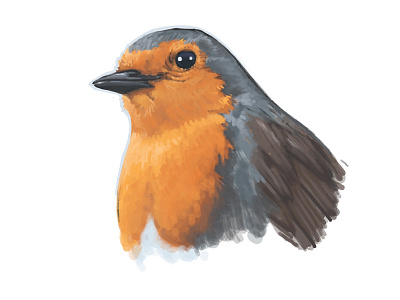 Robin Bird Illustration animal ave bird dibujo digital painting drawing illustration ilustracion ipad nature orange pajaro pettirosso procreate robin sketch