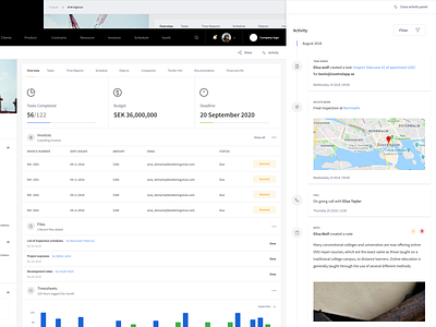 Project overview and Activity page dashboard dashboard ui data design invoice project project dashboard task timeline typography ui ui design ux website design