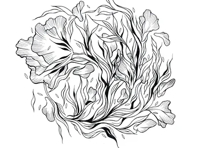 Floral abstract art design drawing dribbble invitation dribbble invite floral floral illustration flower flowers illustration invitation invite giveaway invites giveaway line line art lineart nature plant