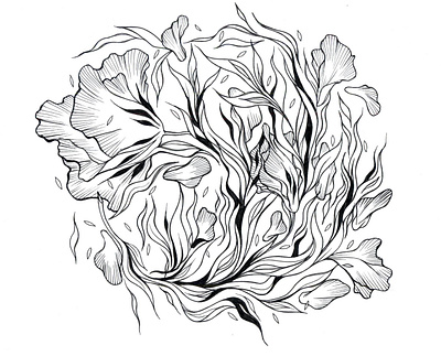 Floral abstract art design drawing dribbble invitation dribbble invite floral floral illustration flower flowers illustration invitation invite giveaway invites giveaway line line art lineart nature plant