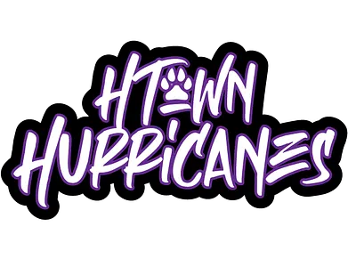 Hurricanes Logo branding design illustrator logo sports track and field vector youth