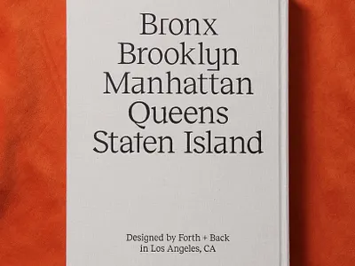 Dreams of New York art direction book book cover book design brand identity branding bronx brooklyn design graphic design identity design logo los angeles manhattan new york new york city photography queens staten island typography