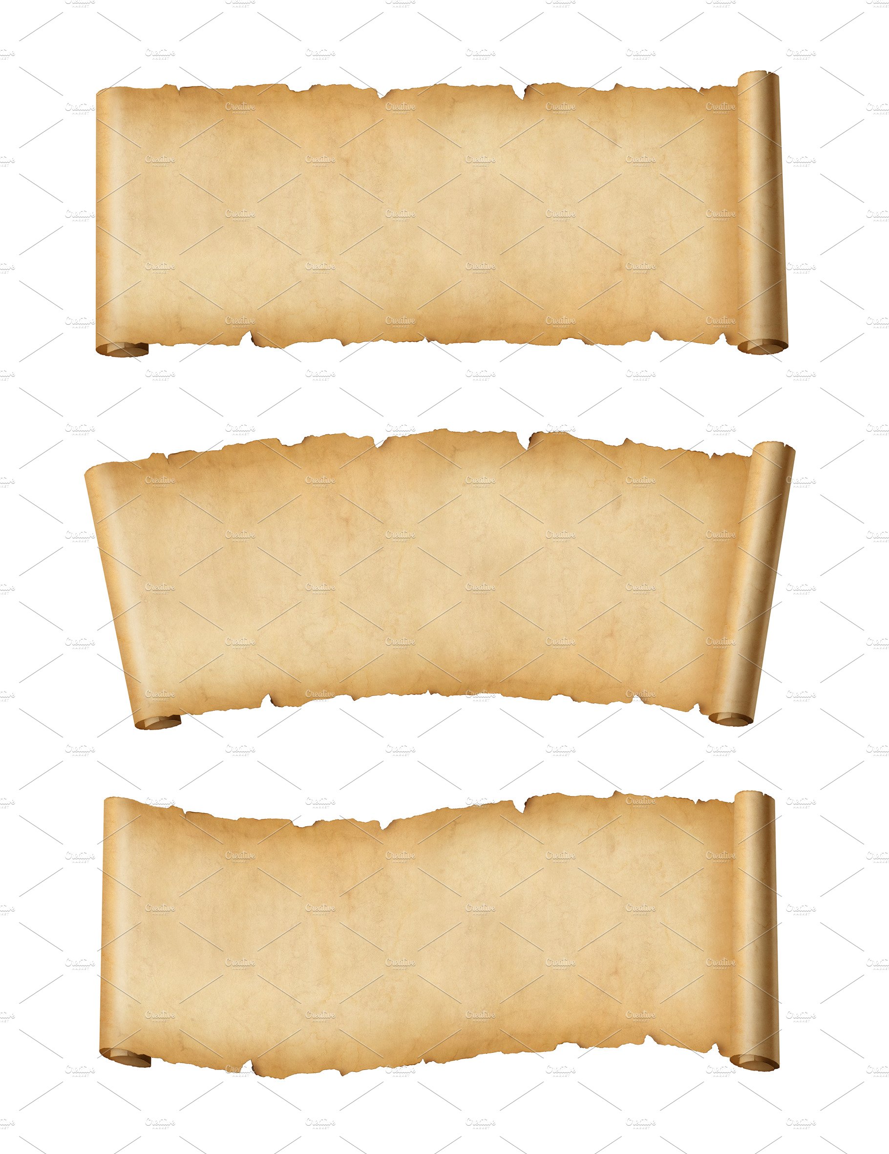 Old Parchment Paper Scroll Set Isolated On White. Horizontal Ban By ...