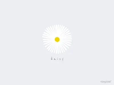 daisy design illustration vector wallpaper