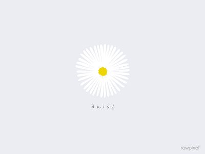 daisy design illustration vector wallpaper