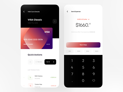 Card Details & Send Money app banking business card card details dashboard details expense fintech georgia lending payments saas send send funds send money tbilisi transaction transfer money visa