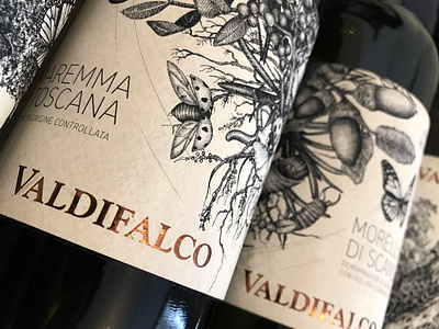 VALDIFALCO Wine Labels animal black ink botanicals branding crosshatch crosshatching hand drawn illustration insects italy label design maximalism nature toscana vector wine