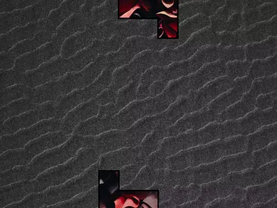 Shannon Long Logo Design after effects animation background brand brand identity branding branding design design flat icon logo logo design logotype minimal motion texture