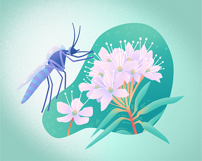 Vector illustration "A rosemary and a mosquito" d v r flora floral fowers illustration illustrator insect mosquito nature plant vector vector art vector artwork vector illustration