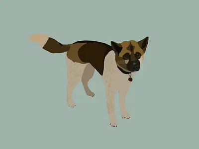 Akita Illustration akita pet illustration pet portrait