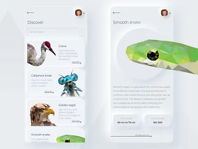 Discover Animals | Neomorphism animals mobile skeumorphism skeuomorphic ui