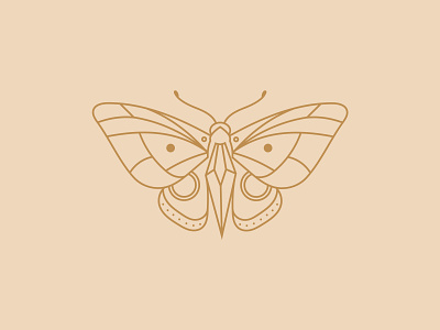 Crystal butterfly branding butterfly crystal design flat icon illustration line lineart logo mark vector