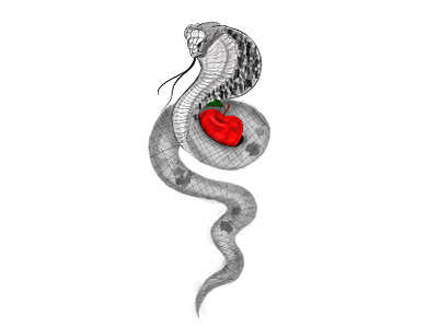 Snake adobe apple art blackandwhite design digital forbidden fruit illustration ink inktober ipad ipadpro procreate red snake tattoo tattoo design venom