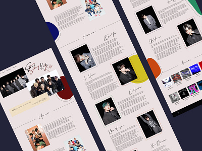 Biography Stray Kids design graphic design k pop ui ux