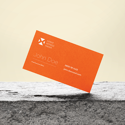 Expert Witness Finder logo branding design logo minimalist mirasa mirasadesign typography vector