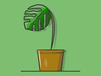 Monstera plant green illustrator leaves monstera plant plants pot shading simple