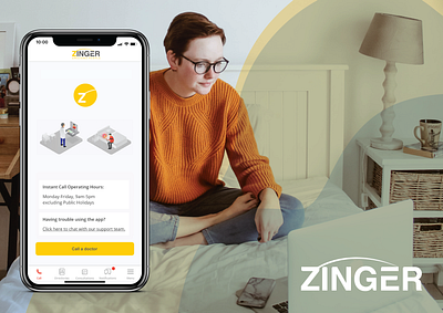 Zinger branding design ui