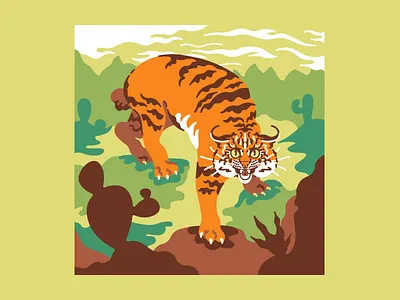 Bobcat animal bobcat cactus character character design desert flat illustration minimal southwest vector