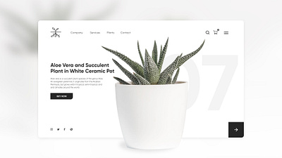 Plant Ceramic Pot Website Design Concept | Ruben Cespedes clean design clean ui daily inspiration design concept design leader minimalism minimalistic plant responsive ruben cespedes ui ux ui design uiux uiuxdesign ux designer visual design web web concept web design white design