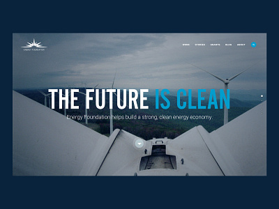 THE FUTURE IS CLEAN responsive website ui ux website websites