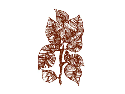 leaf design drawing illustration minimal ui vector