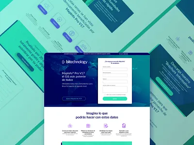 MapInfo Pro V17 ( bitechnology.com ) campaign digital form landing uidesign web web design website